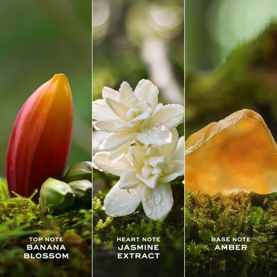 MARC JACOBS DAISY WILD INTENSE EDP 100ML